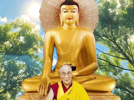 ẤN ĐỘ TẬP TU - DHARAMSALA 8 NGÀY