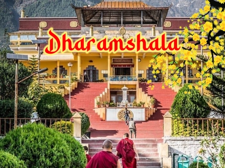 TOUR DHARAMSHALA - ĐẢNH LỄ ĐỨC ĐẠT LAI LẠT MA