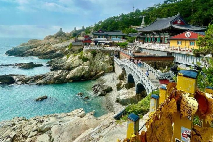 Top những địa điểm nổi bật ở Hàn Quốc - Khám phá trọn vẹn Busan & Seoul