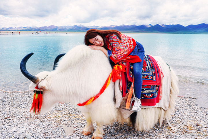 TÂY NINH – TÂY TẠNG – LHASA  | HÀNH TRÌNH CHẠM ĐẾN NÓC NHÀ THẾ GIỚI